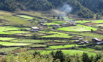 Bhutan Gangtey valley trekking