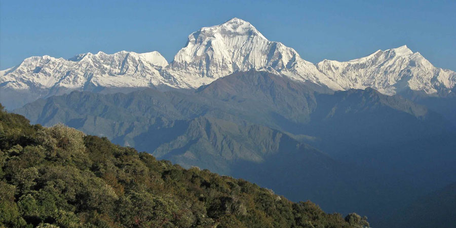 Ghorepani poon hill trekking 